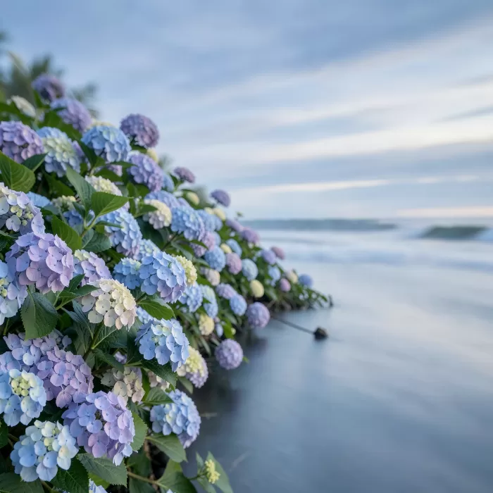 Silken Blooms
