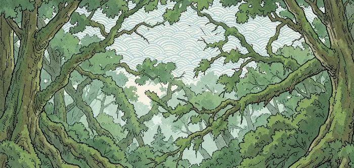 Rainforest Mists