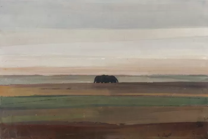 Dust Horizon