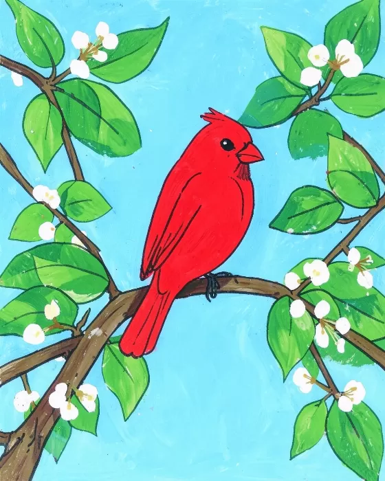 Red Cardinal