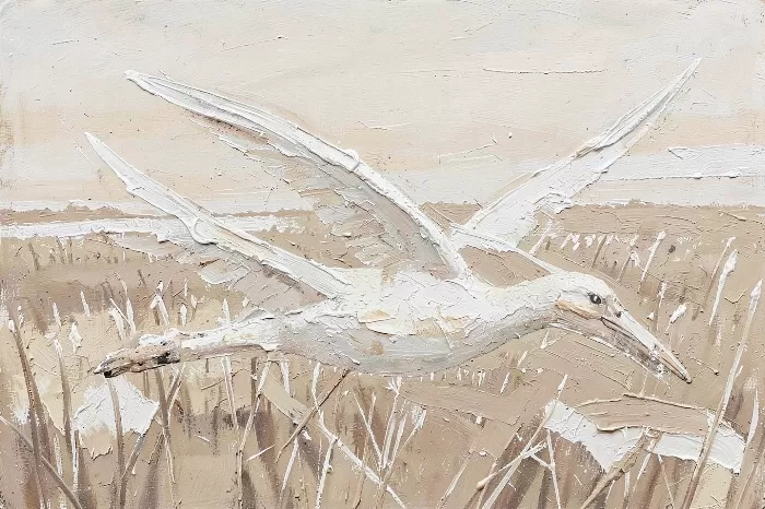 Snow Geese