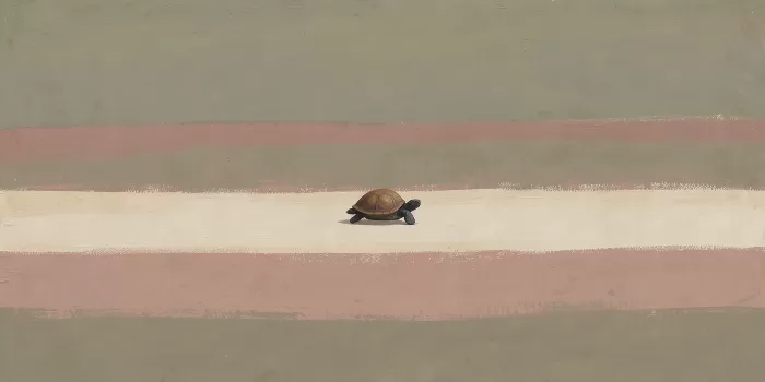 Quiet Shell