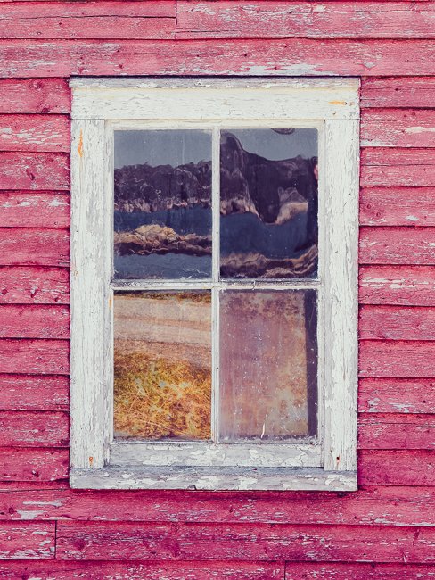 The Viewing - Newfoundland art print
