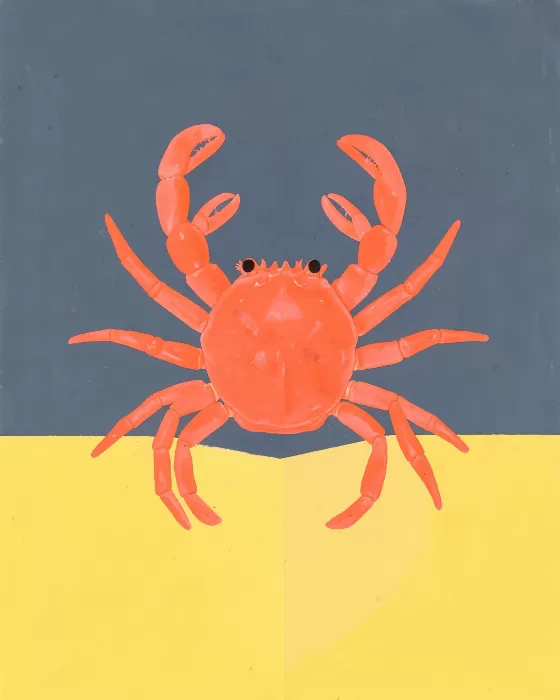 Coral Crab