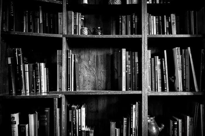 Bookcase Shadow