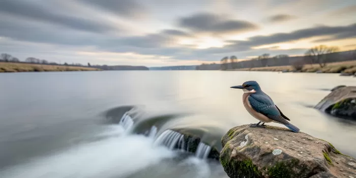 River Hush