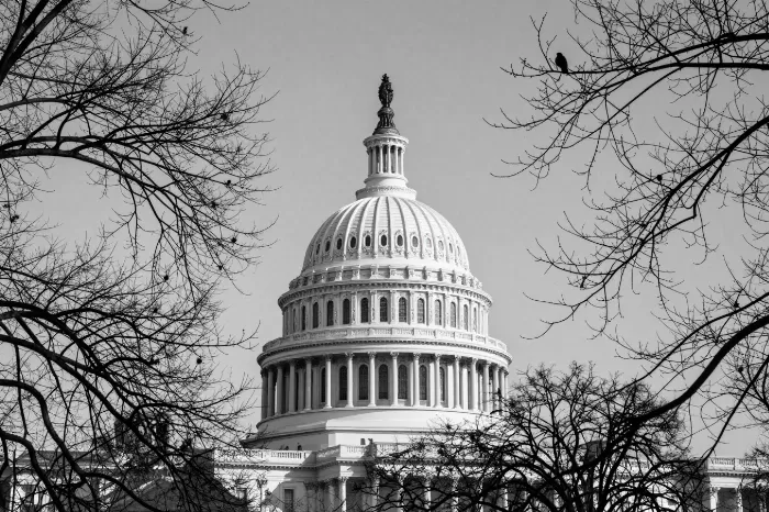 Capitol Winter