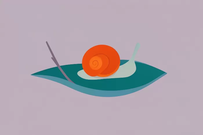 Snail Leaf