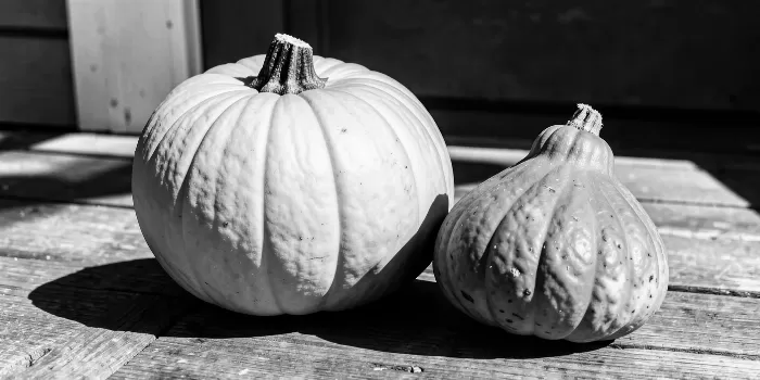 Harvest Trio