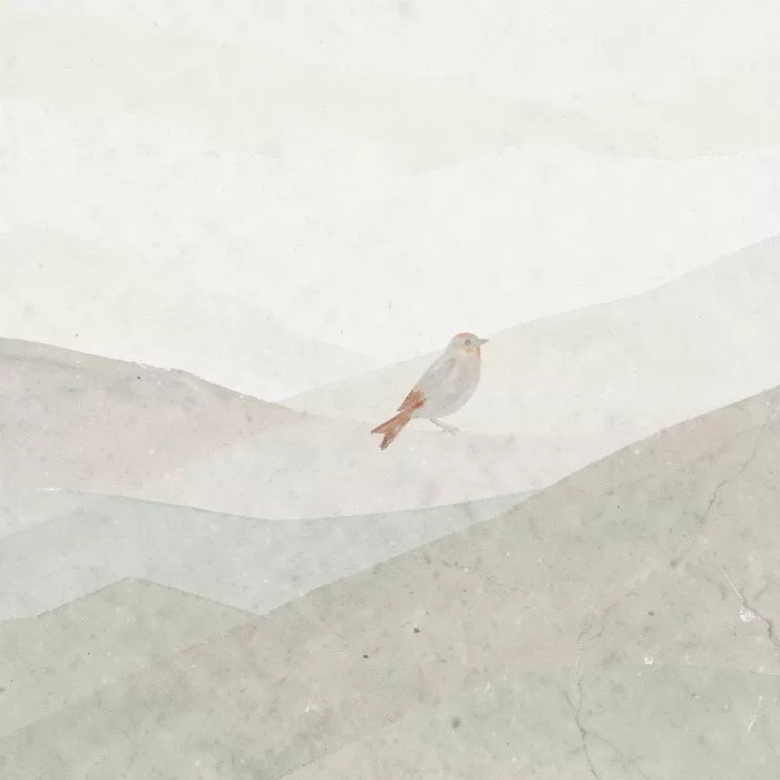 Quiet Aviary