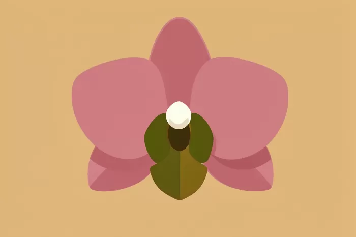 Retro Orchid