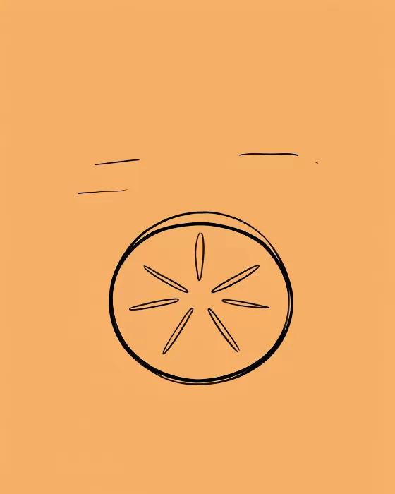 Sand Dollar