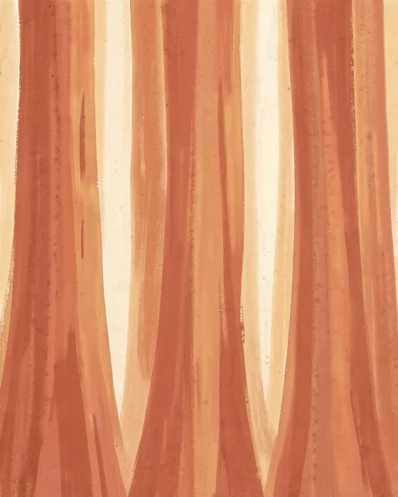 Redwood Bark