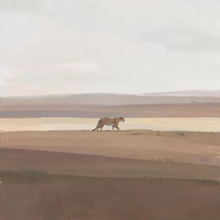 Cheetah Field