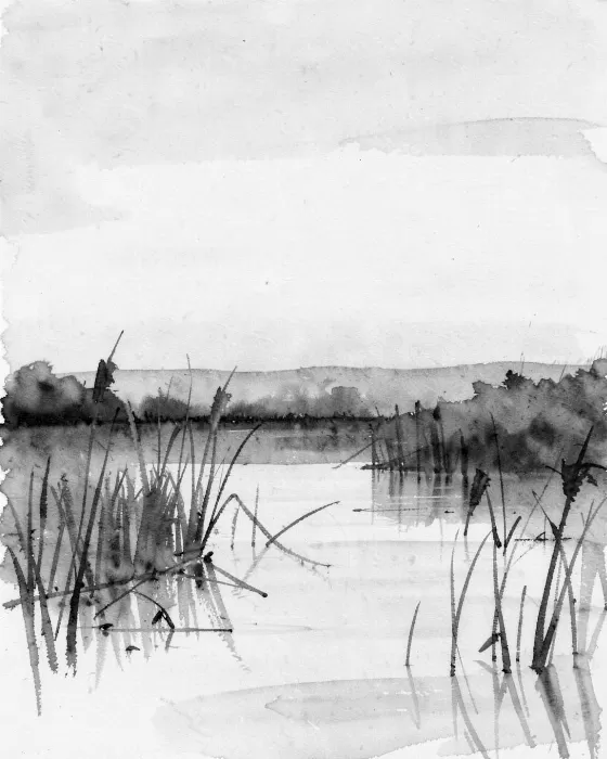 Reed Silence