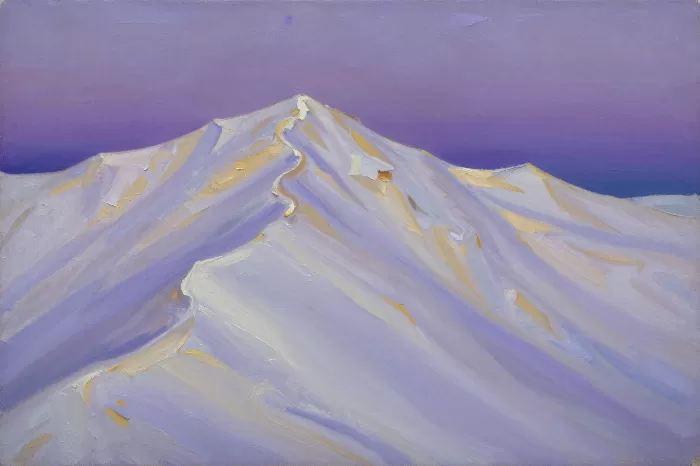 Sculpted Snowfields