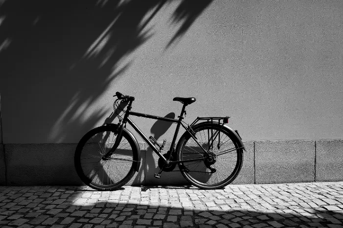 Alley Wheels II