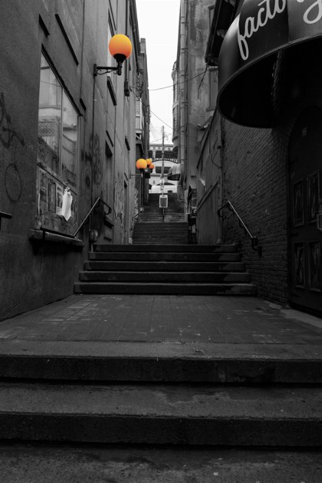 MCMURDLES LANE II - Newfoundland art print
