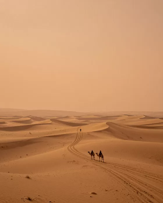 Caravan Dawn