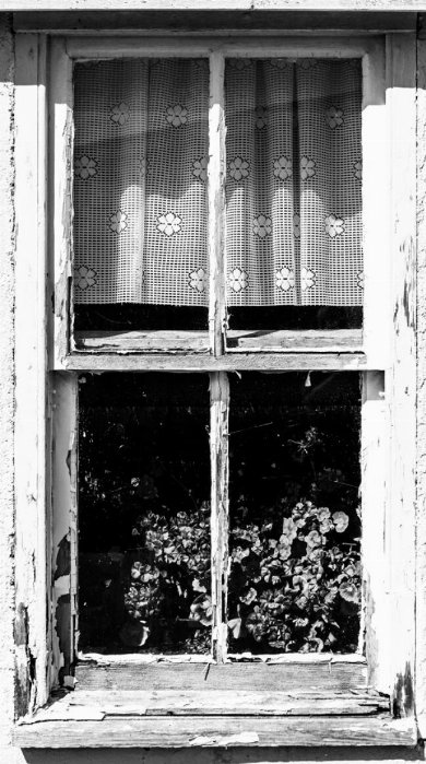 Aged Window - Newfoundland art print