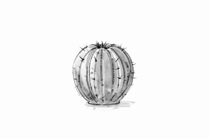Quiet Barrel