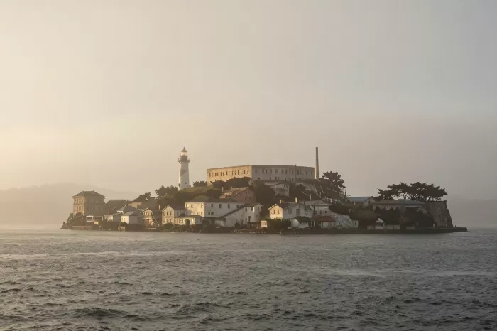 Island Fog