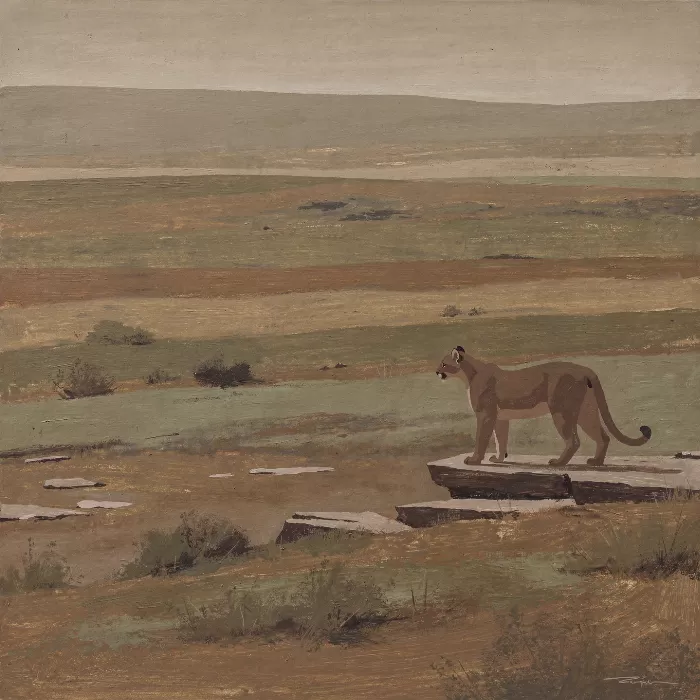Cougar Ledge
