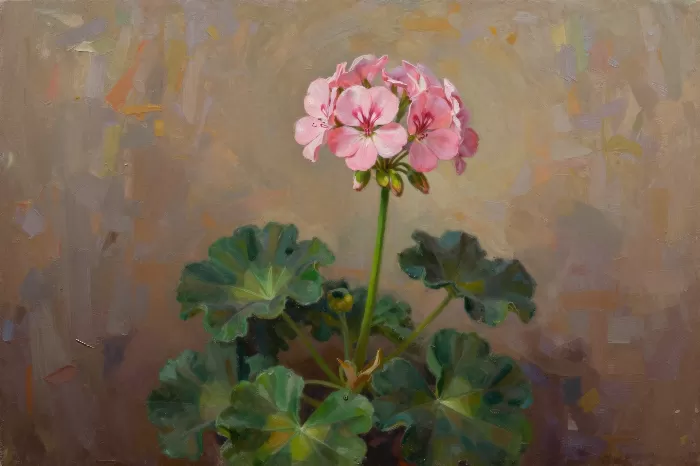 Geranium Bloom