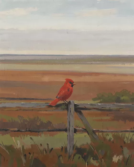 Red Note