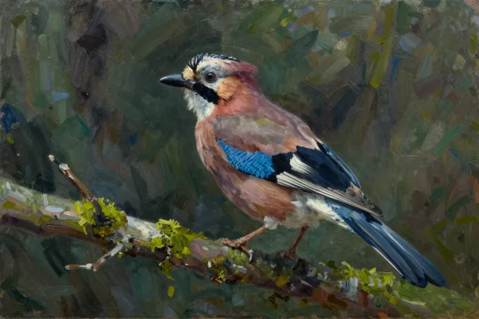 Forest Jay