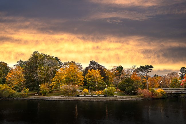 Enchanted Autumn - Newfoundland art print