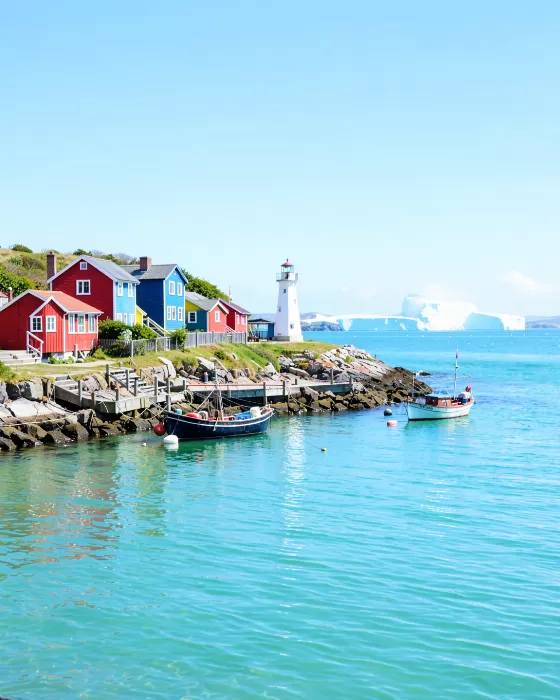 Cove Lights