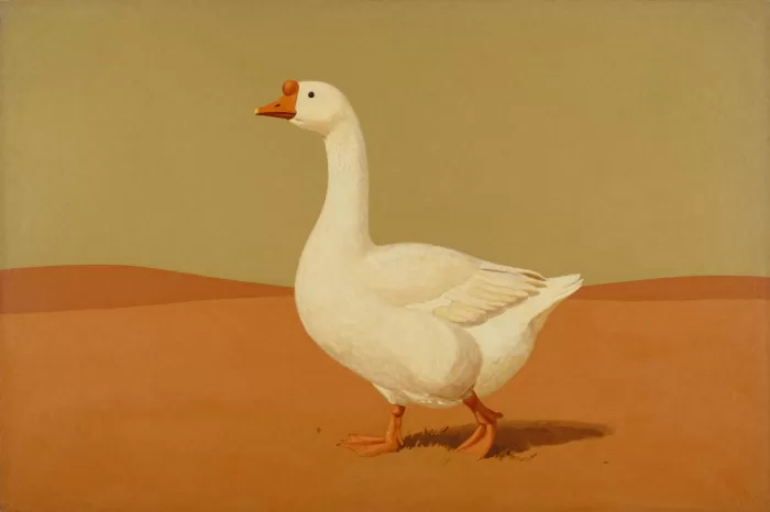 Mustard Goose