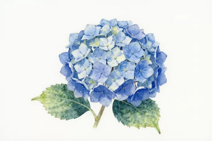 Cobalt Florets