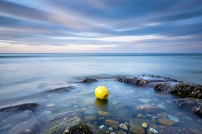 Lemon Tide