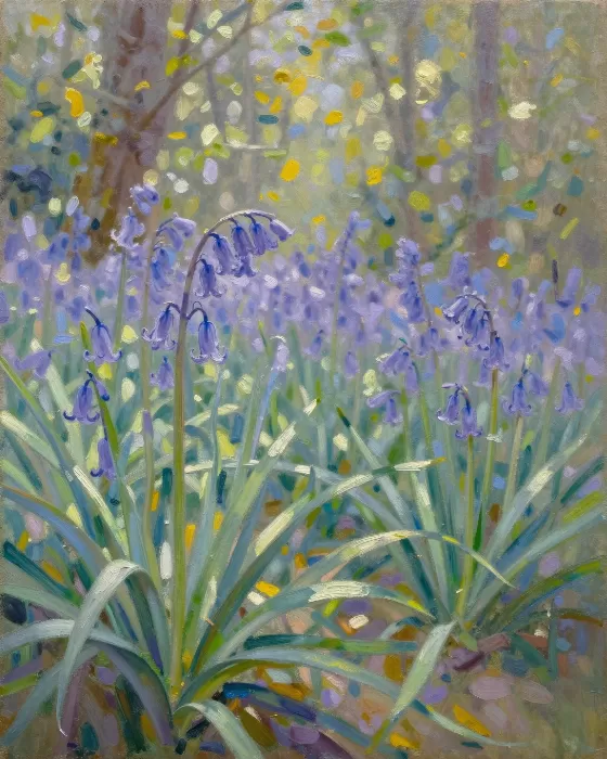 Bluebell Glow