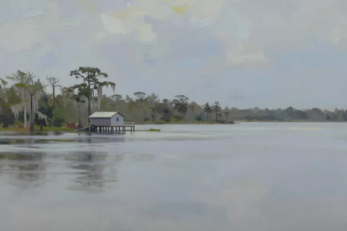 Bayou Stillness