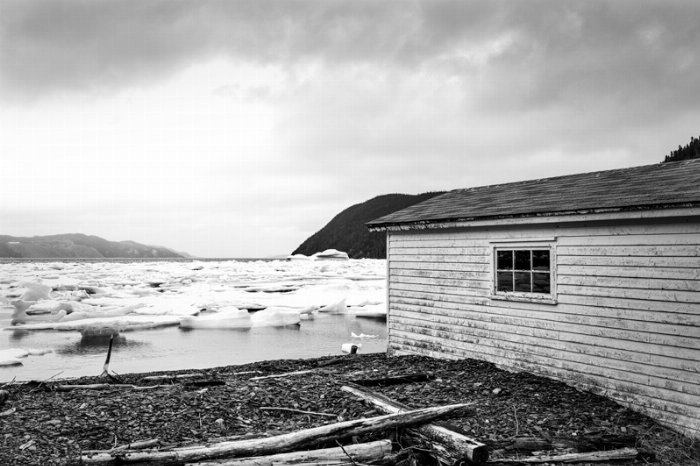 Iced In - Newfoundland art print