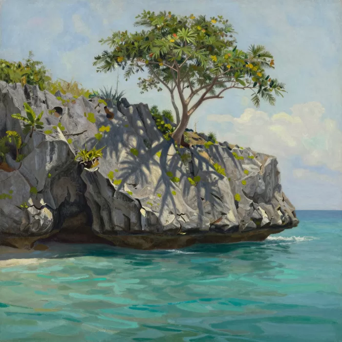 Cliffside Shadows
