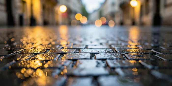 Rainlit Stone