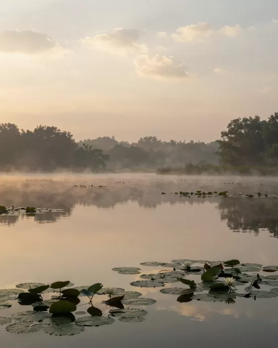 Dawn Stillness