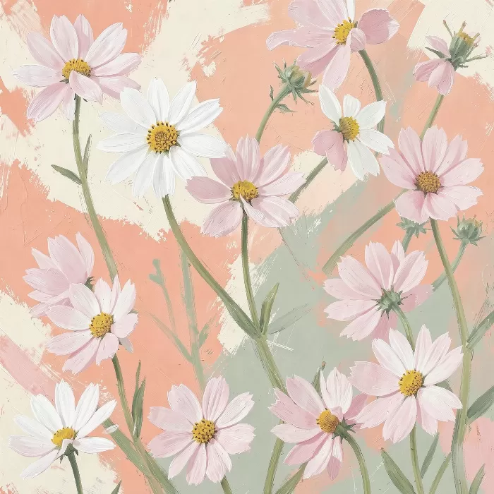 Daisy Strokes