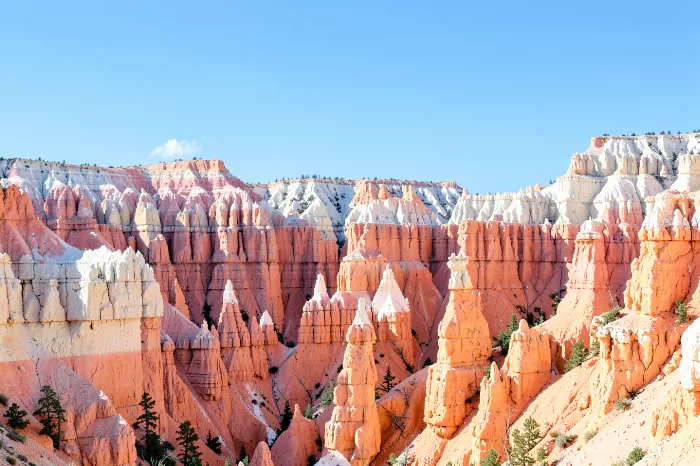 Pink Spires