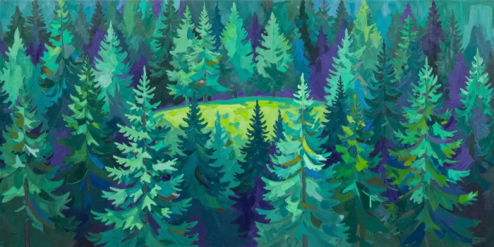 Emerald Divide
