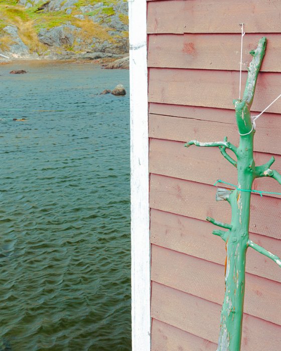 Ugly Stick - Newfoundland art print