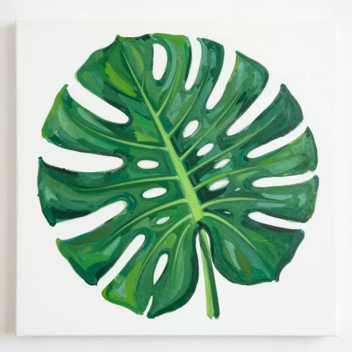 Tropic Bold