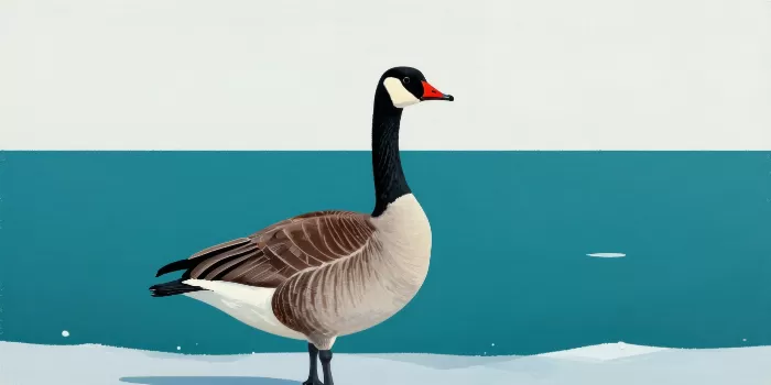 Frozen Guard