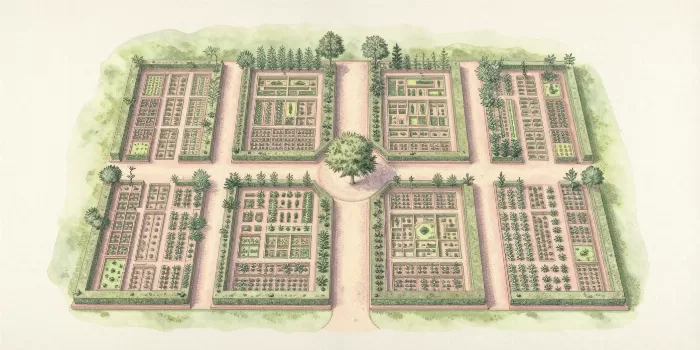 Physic Plan