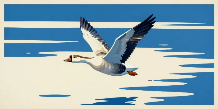 Lakeside Flight