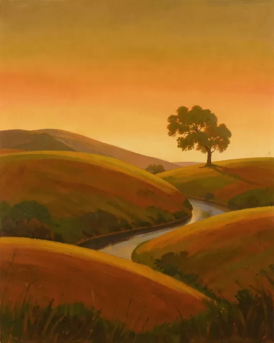 Velvety Fields